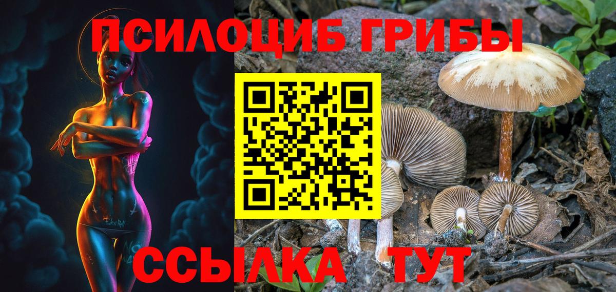 Псилоцибиновые грибы Cubensis Чайковский