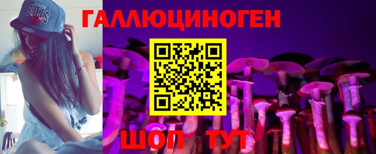 Чайковский  Псилоцибиновые грибы Psilocybe  Вход с VPN 
